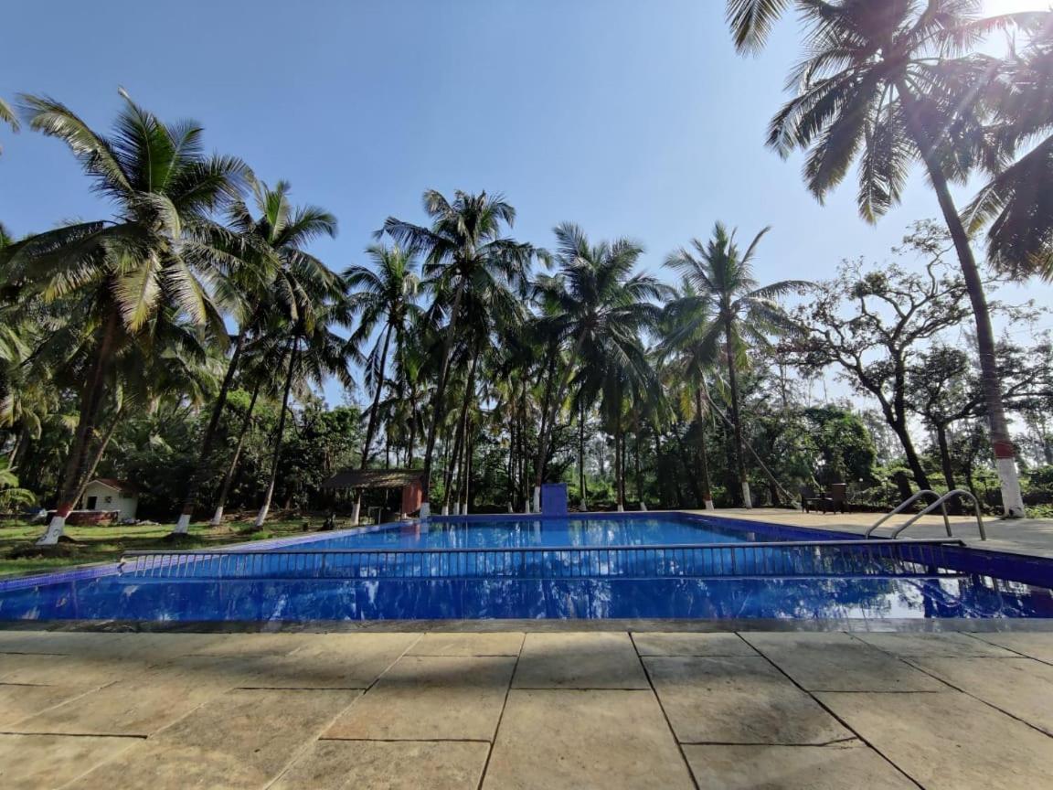 White House Beach Resort, Nagaon エクステリア 写真